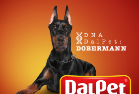 DNA DALPET: DOBERMANN