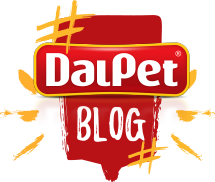Dalpet Blog