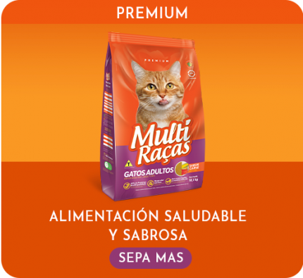 Premium Multi Raças - Gatos