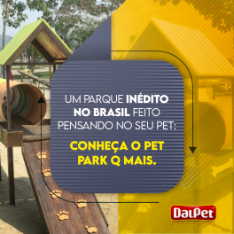 Um parque inédito no Brasil feito pensando no seu pet:  Conheça o Pet Park Q Mais.