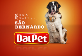 DNA DalPet: São Bernardo