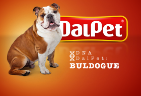 DNA DalPet: Buldogue