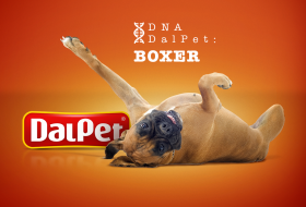 DNA DalPet: Boxer