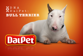 DNA DalPet: Bull Terrier
