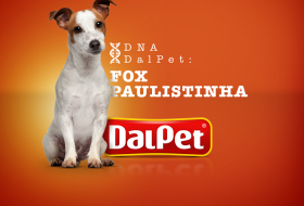 DNA DalPet: Fox Paulistinha